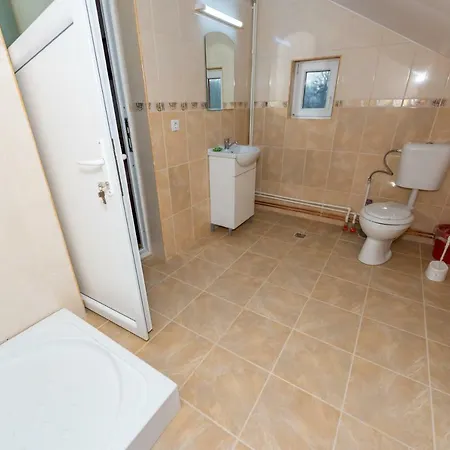 Πανσιόν Pensiunea Tavisa 3*