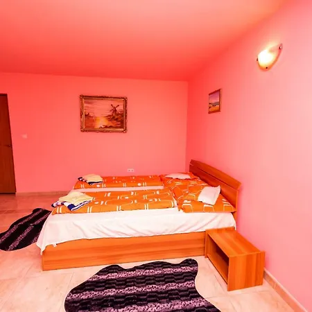 Πανσιόν Pensiunea Tavisa 3*