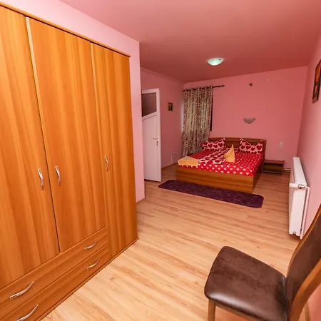 Pensiunea Tavisa Πανσιόν 3*