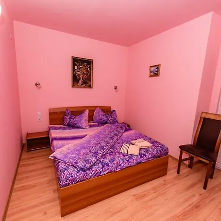 Pensiunea Tavisa 3* Sighetu Marmaţiei